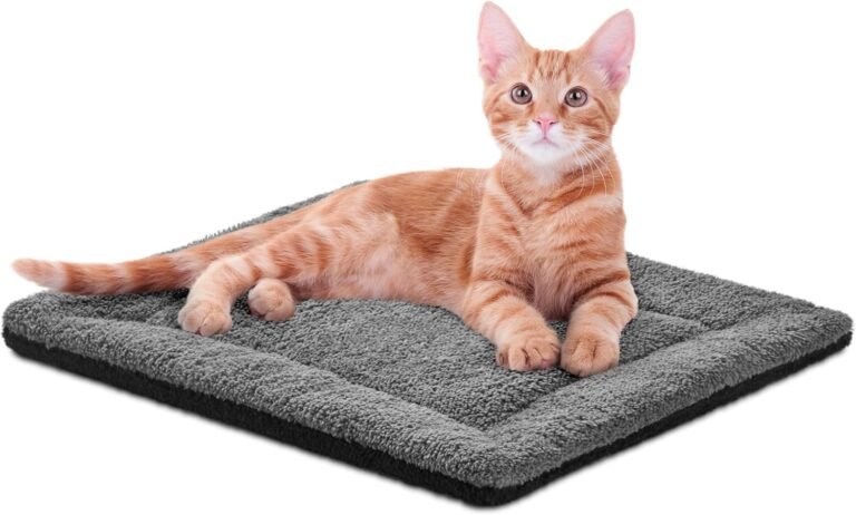 K&H PET PRODUCTS Self-Warming Cat Bed Pad – Ultimate Cozy Comfort for Cats and Small Dogs
