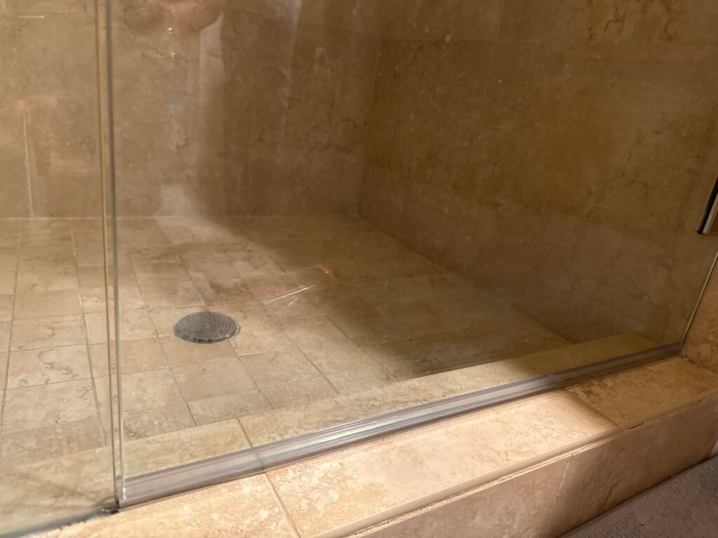 Frameless Shower Door