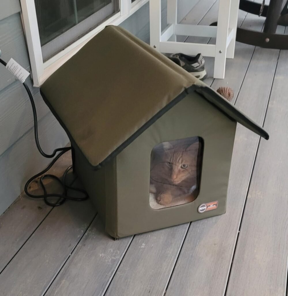 Outdoor Cat House