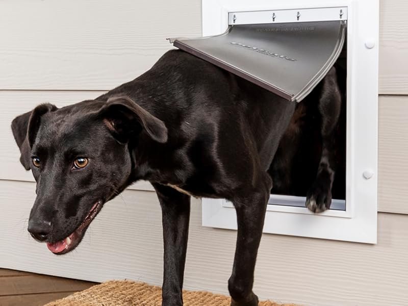 Ultimate PetSafe Extreme Weather Aluminum Pet Door – Durable, Energy-Saving, and Secure 3 Aluminum Pet Door