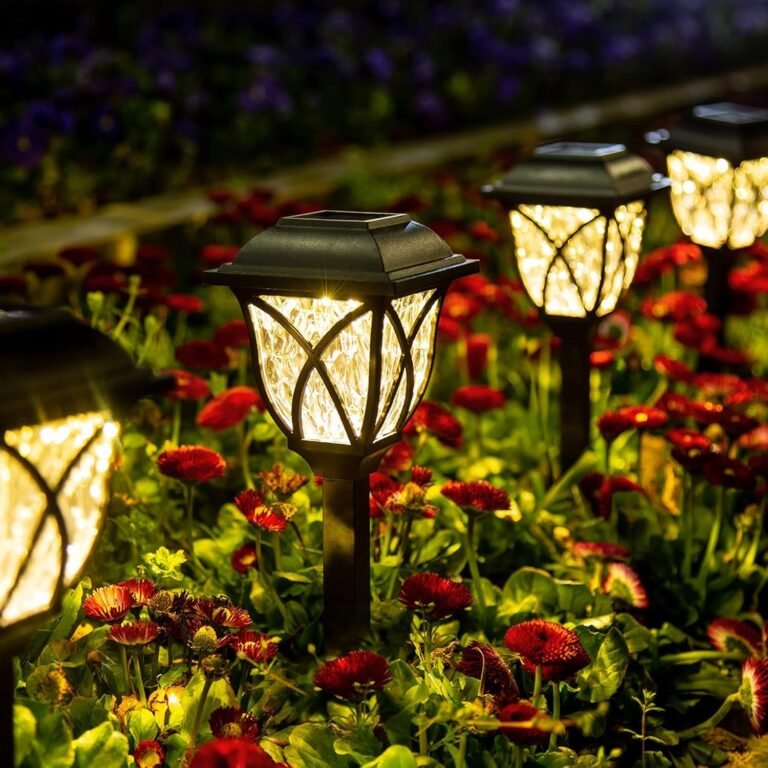 solar lights