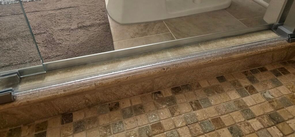 Frameless Shower Door