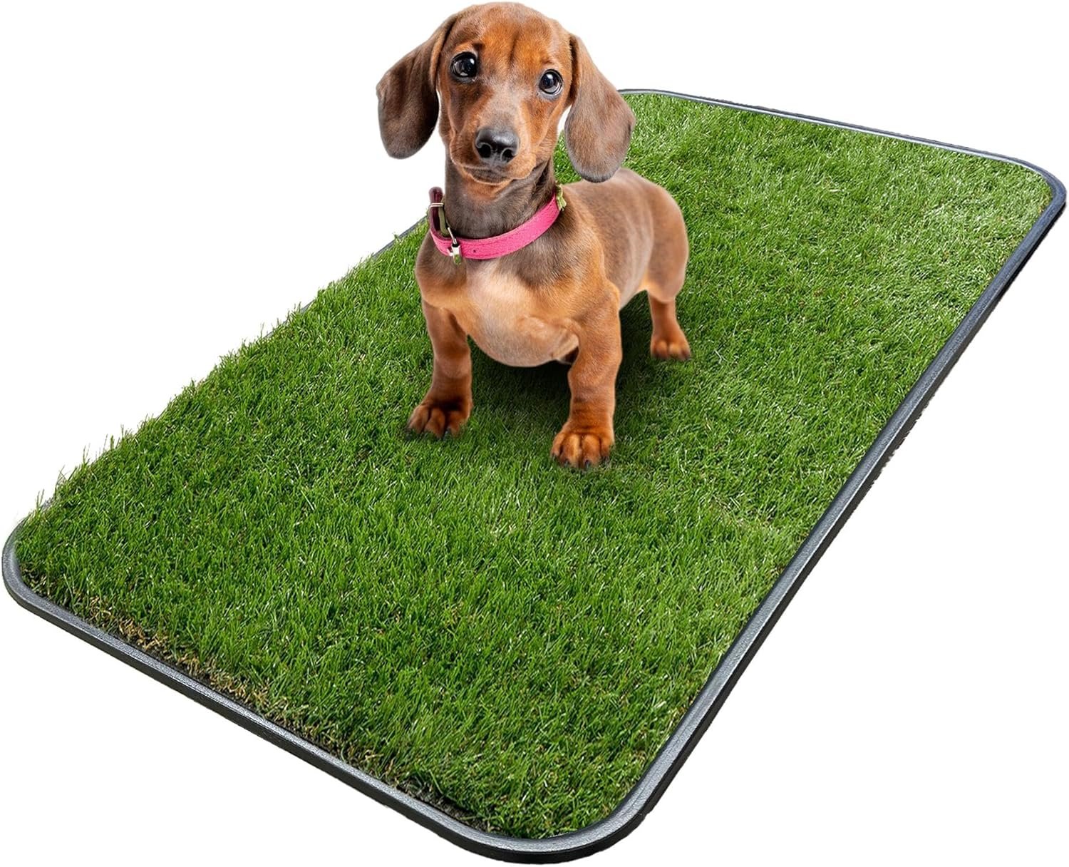 Artificial Grass