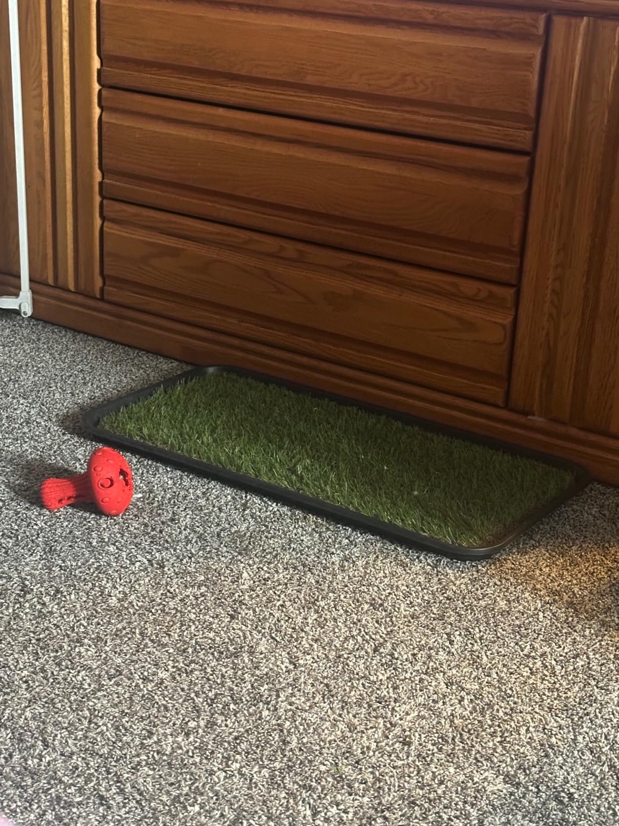 Artificial Grass Alternatives: The Ultimate Garage Mat for a Safe and Durable Workspace 3 Artificial Grass