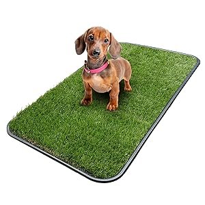 Artificial Grass Alternatives: The Ultimate Garage Mat for a Safe and Durable Workspace 2 Artificial Grass
