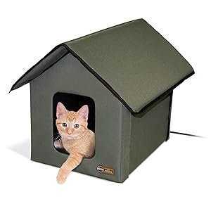 Outdoor Cat House