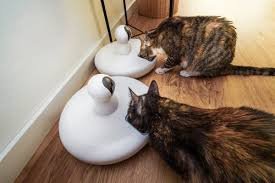 automatic cat feeder with camera