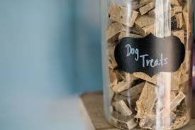 freeze dried dog treats
