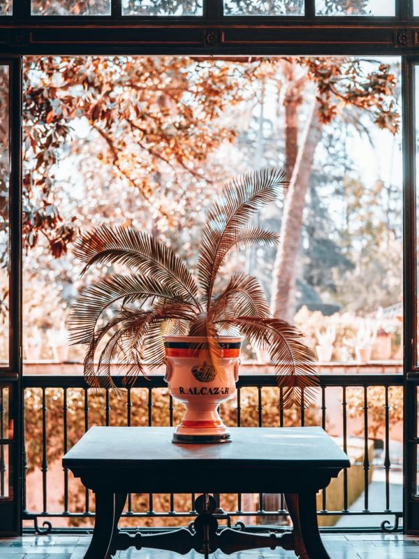 pexels-pixels-elements-16627220 pexels-pixels-elements-16627220